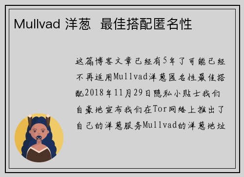 Mullvad 洋葱  最佳搭配匿名性 