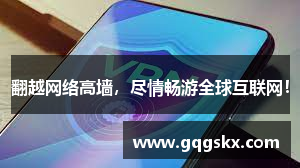 蚂蚁加速器
